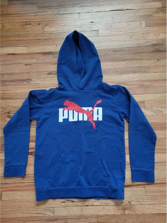 Puma Other - Puma Mens Pullover Hoodie Size L Royal Blue Red Sweatshirt Logo Graphic Athletic